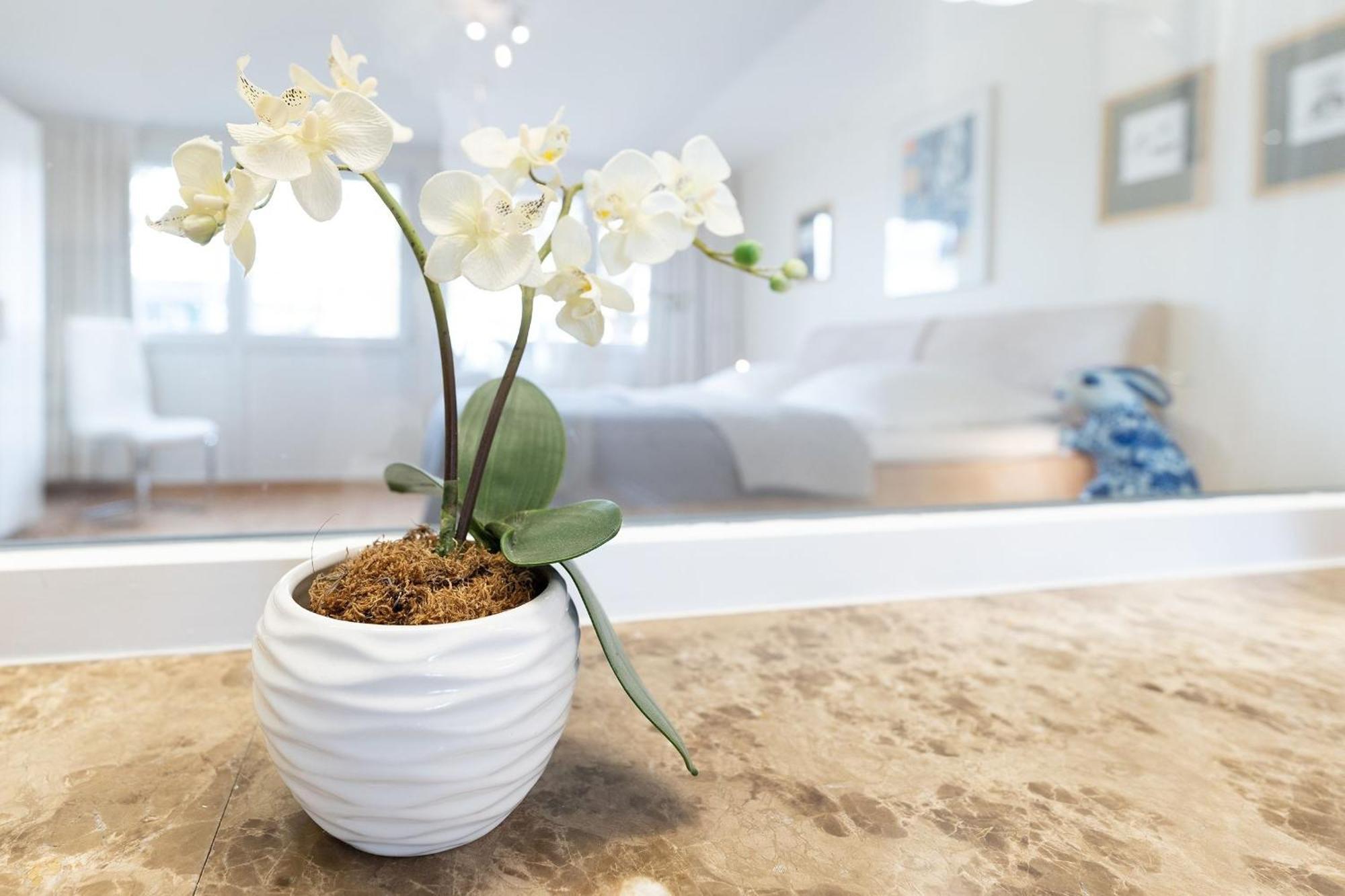 טימנדורפר שטרנד Haus Eva Mar Am Meer Appartement 1 מראה חיצוני תמונה